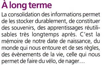 http://burgues.svt.neuf.fr/image/memoire_lt.jpg
