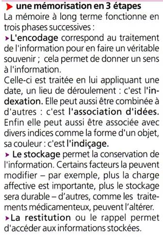 http://burgues.svt.neuf.fr/image/memoire_etapes.jpg