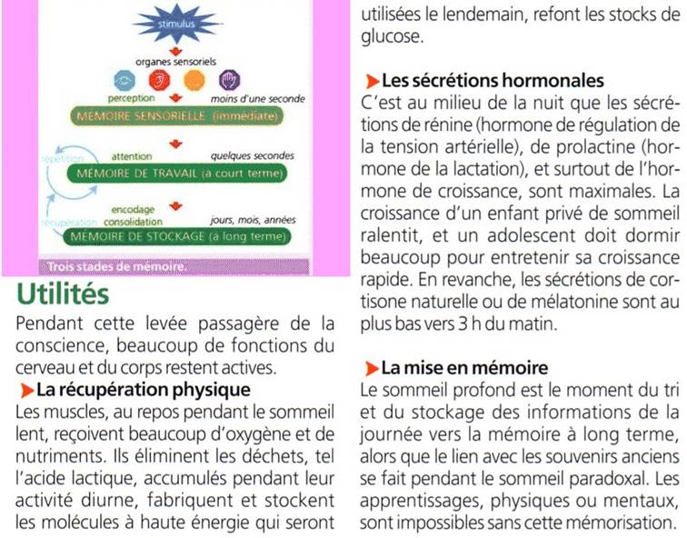 http://burgues.svt.neuf.fr/image/sommeil_utilite.jpg