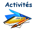 activit